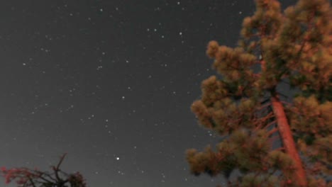 Lapso-De-Tiempo-De-La-Noche-Al-Día-De-Las-Estrellas-Moviéndose-Por-El-Cielo-Y-La-Luz-De-La-Fogata-Parpadeando-En-Un-árbol