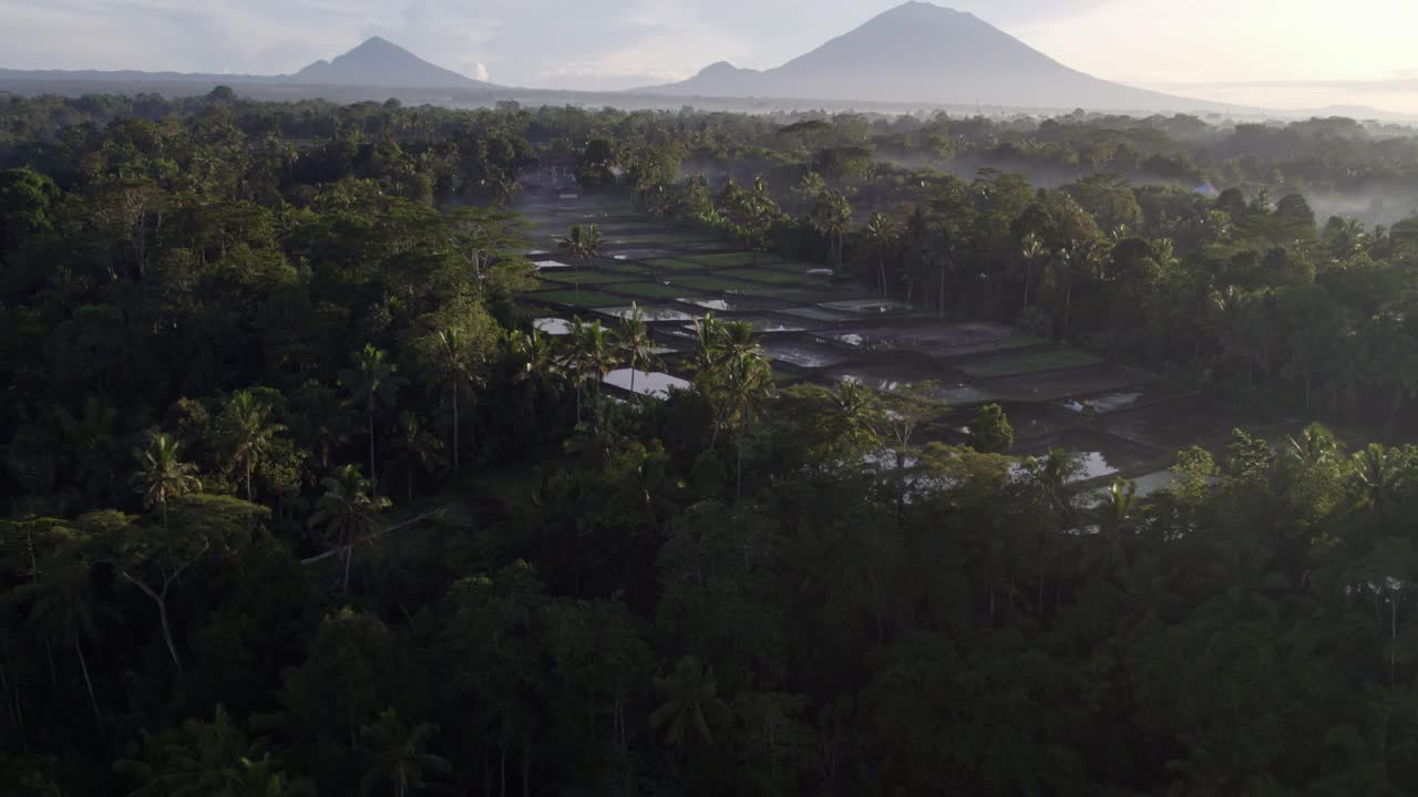 Splendido tramonto sulle risaie a terrazze con panorami vulcanici a Bali, Indonesia