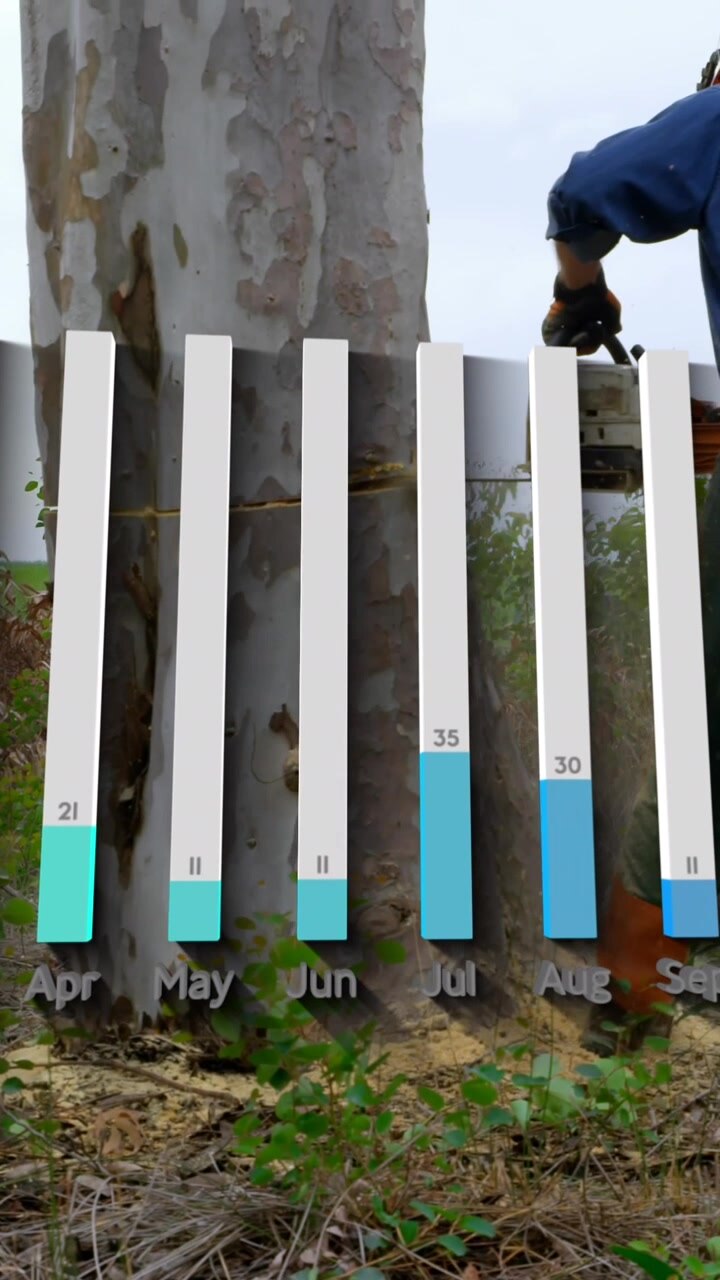 Animazione di numero crescente su cerchio rosso su traffico che attraversa un ponte