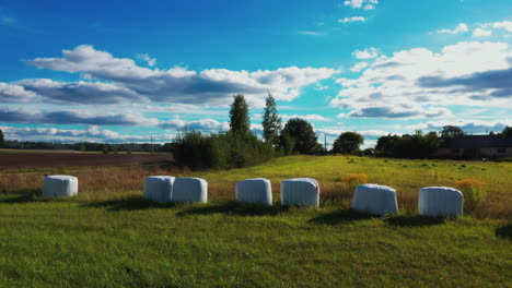 landscape with packed hay, silage rolls for animal food on sunny summer day