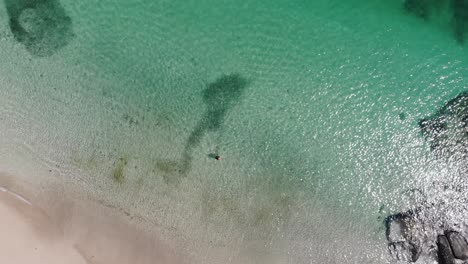 Panamá-En-Febrero-Un-Dron-Dispara-A-La-Isla-Contadora-Nadando-Entre-Peces-Capturados-Con-Un-Dron-6