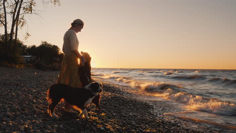 silhouette of a woman who plays with her dog breed caucasian shepherd at sunset