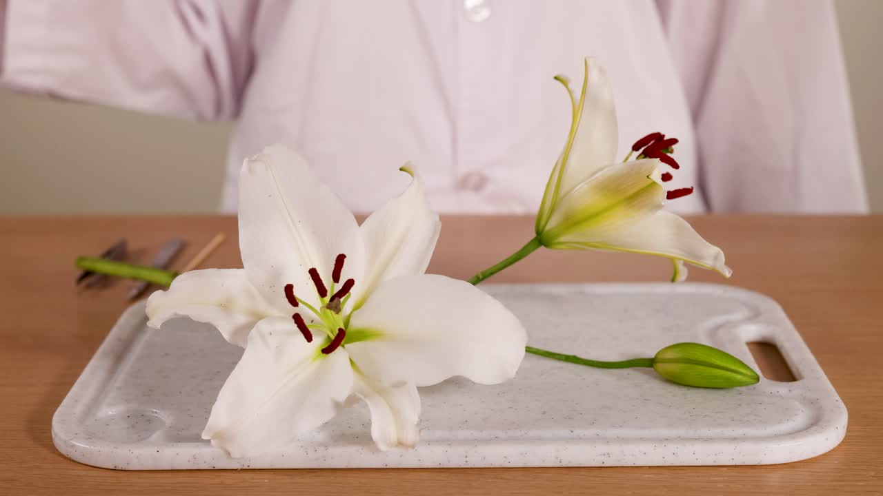 A scientist in a lab coat examines a lily flower using a glass rod, highlighting its reproductive structures