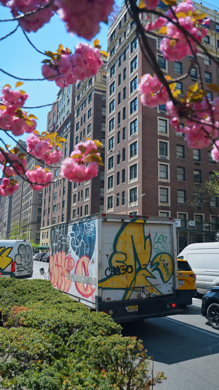 Nova Iorque, EUA, 15 de abril de 2026: Caminhão de entrega com grafite passando por cerejeiras em flor em Nova Iorque. Caminhão branco com grafite colorido dirigindo atrás de flores rosa em flor na Park Avenue.