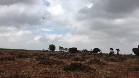 Time-lapse-of-farmers-working-on-a-field-in-India