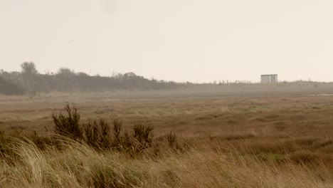 nature reserve at gibraltar point with general views of the nature reserve 2 of 7