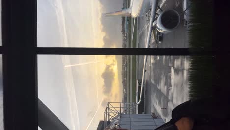 vew from a window of a passenger bus under the planes. airport. day