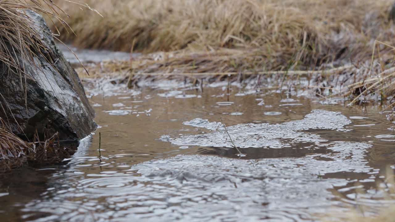 비가 내리는 곳이 가까워지면 바위와 노란 잔디의 지형에서 웅이로 떨어집니다.
