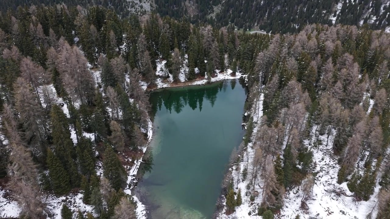 Splendido panorama aereo di un tranquillo lago di montagna circondato da una foresta innevata a Maloja, Svizzera