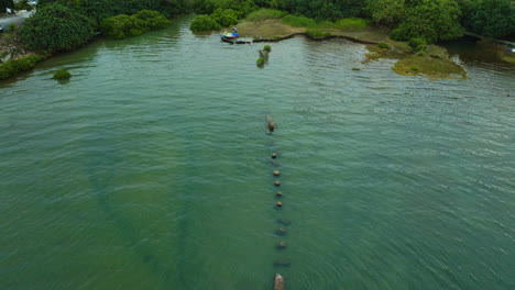 amazing panning shot of a shallow lake shore with floating boats