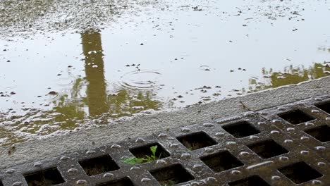 Lluvia-Cayendo-Junto-A-Una-Alcantarilla-En-Un-Parque