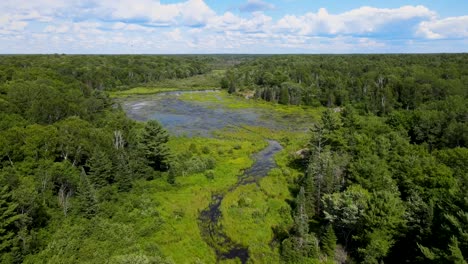 Drone-flying-over-a-river-and-pond-in-a-dense-forest-outside-Ottawa