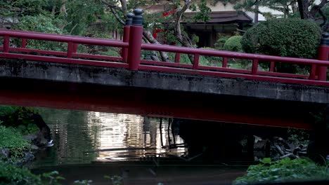 vista del puente rojo sobre el estanque koi en el jardín zen japonés