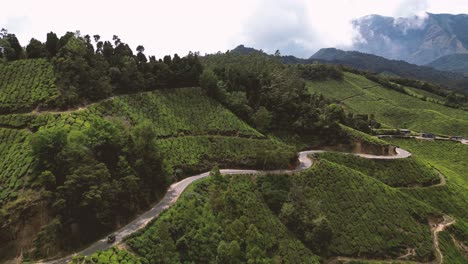 Aerial-view-Tuk-tuk-Taxi-on-a-tea-plantation-in-Munnar,-Kerala,---South-India