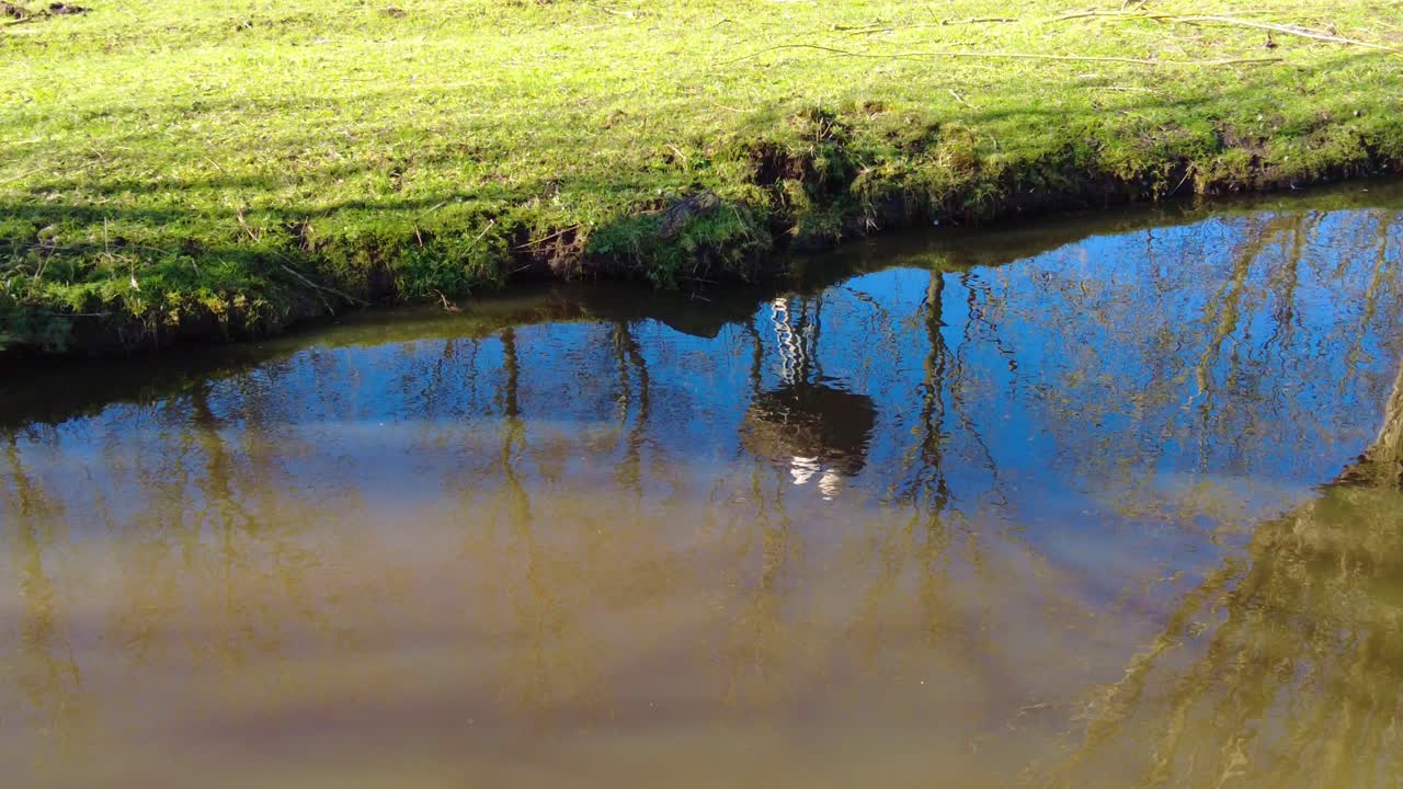 Reflection Of Storks Nest In River Beside Grass Verge