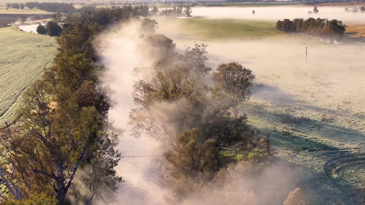 Drone camera glides above a tree-lined country road bordered by green fields, capturing early morning fog and soft golden sunlight in rural Australia
