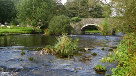 Alte-Brücke-Vom-Bach-In-Wales,-Großbritannien---20-Sekunden-Version