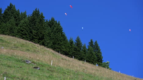 four colorful parachutes fly above fir trees and grass meadows in obwalden, blue sky in broad daylight