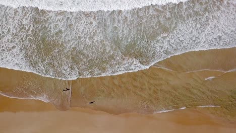 Olas-Rompiendo-En-La-Playa.-Ojo-De-Pájaro-Australia