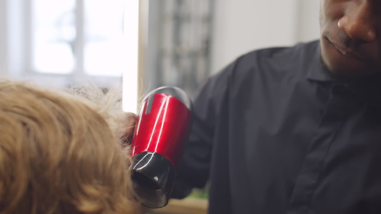barbero negro peinando el cabello del cliente con secador y cepillo