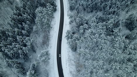 aerial top down view of snow-covered forest road in poland