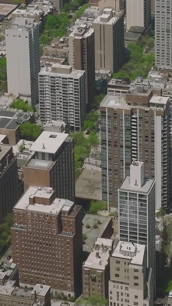 Vista aérea de Chicago mostrando a vida na cidade e os espaços verdes