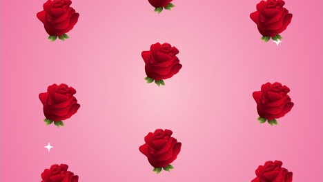 beautifull roses flowers garden pattern animation