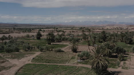 drone shot of a beautiful oasis near ouarzazate