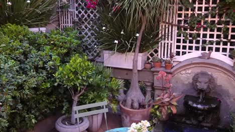 foto del jardín dentro de un hotel en una casa vieja en el barrio romaní de la ciudad de méxico