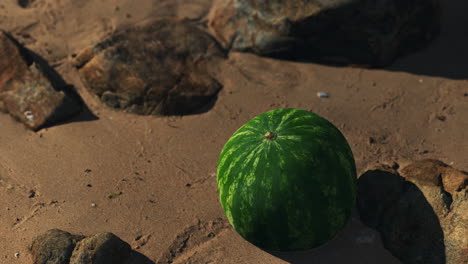 big and juicy watermelon on the beach sand