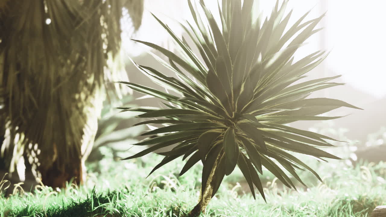 Vibrant green plant in sunlight at a serene garden setting