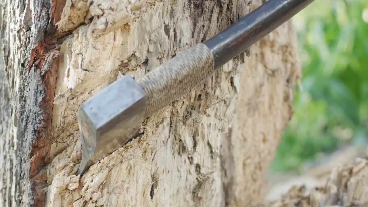 Closeup Of An Axe Swinging And Sticking Into A Tree Free Stock Video ...