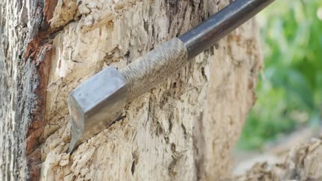 Closeup-of-an-axe-swinging-and-sticking-into-a-tree