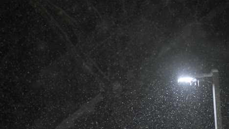 looking up in the dark sky, slow motion snowfall in the evening, night, light of street lamp, winter weather