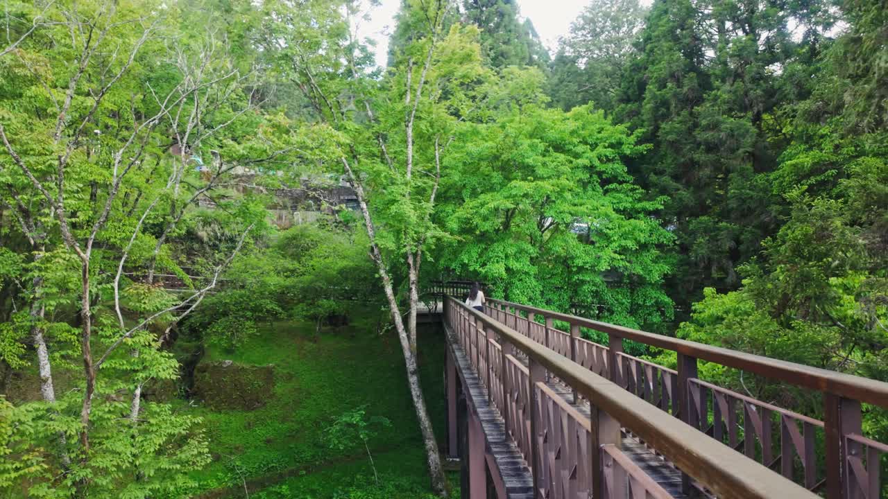 Shot of a narrow bridge through lush, green foliage of Alishan National Scenic Area in Taiwan. Tourist destination. Woman walking and exploring