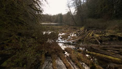 Slowly-passing-across-floating-logs-revealing-a-mirror-like-mountain-lake,-aerial