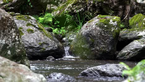 Rieselnder-Bach-Zwischen-Bemoosten-Felsbrocken