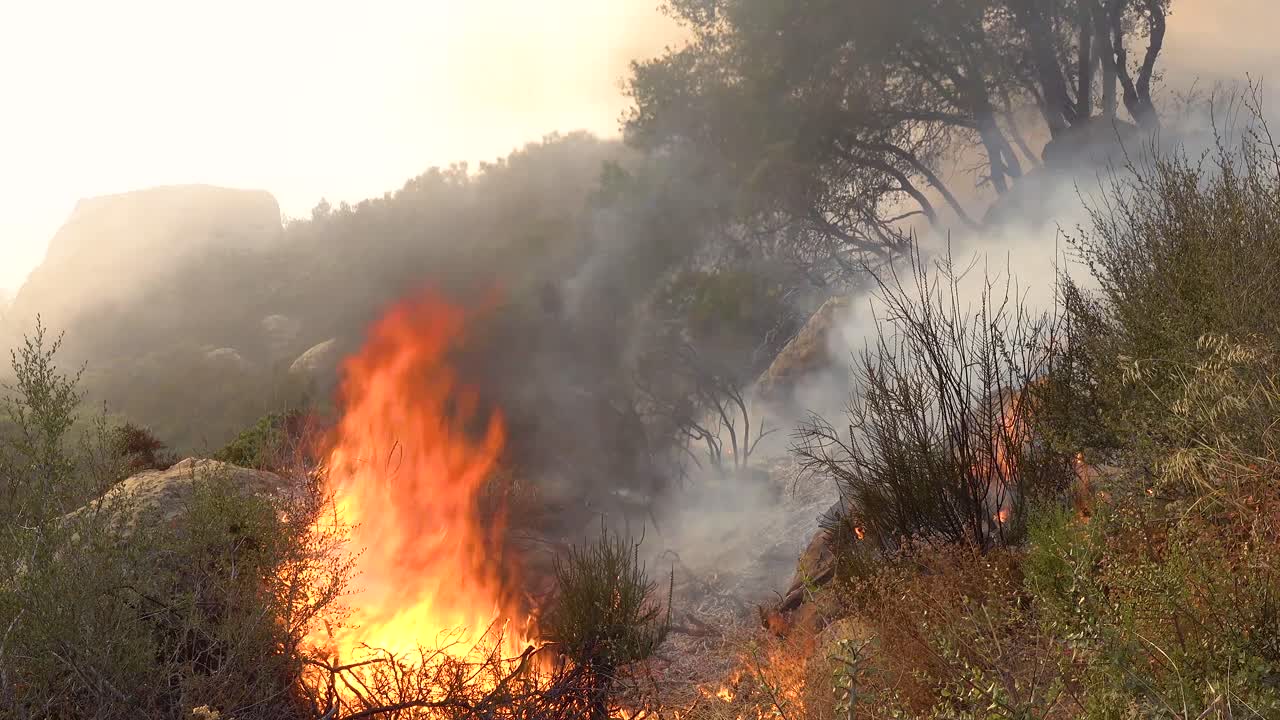 primer plano de un incendio forestal genérico o un incendio forestal que quema y consume vegetación en las colinas del sur de california 3