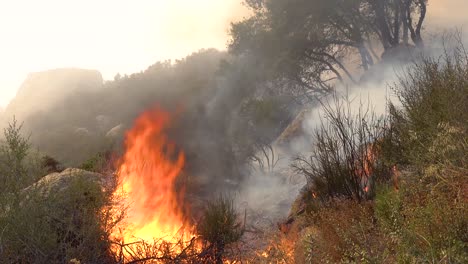 Cerca-De-Un-Incendio-Forestal-Genérico-O-Incendios-De-Matorrales-Quema-Y-Consume-La-Vegetación-En-Las-Colinas-Del-Sur-De-California-3