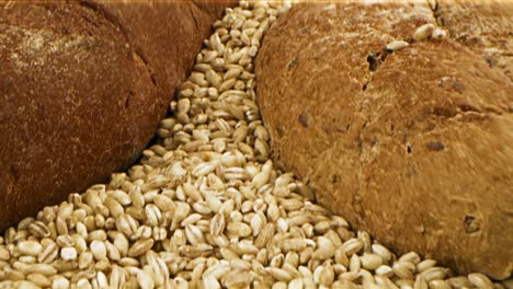 variety of breads and barley grains