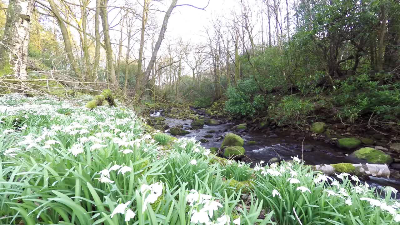 Time-lapse scenes from Lancashire Countryside
