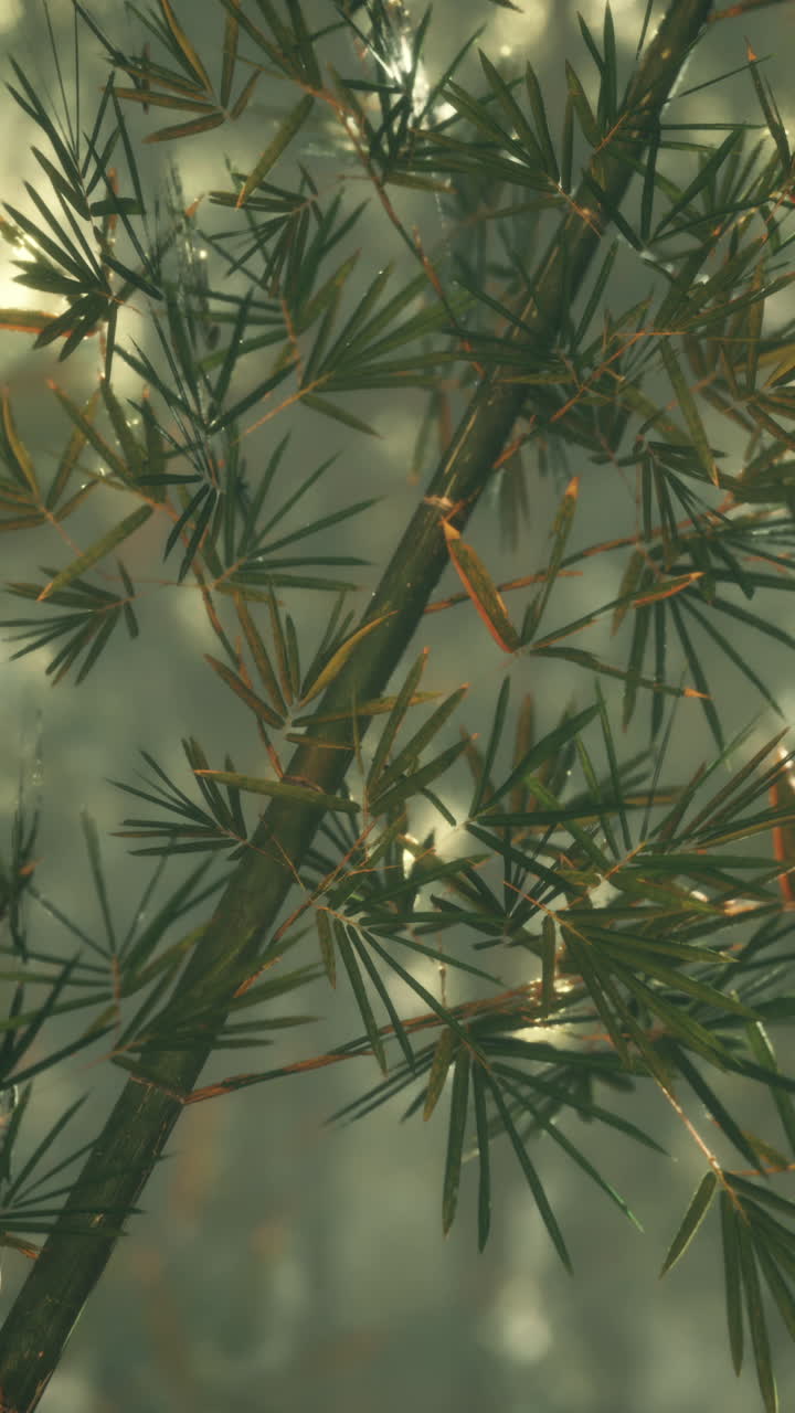 Un primer plano de las hojas de bambú