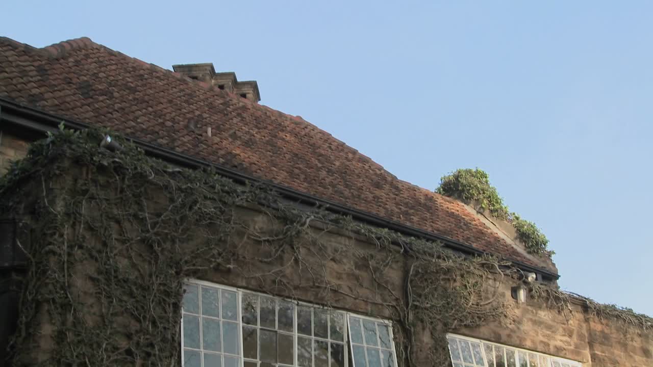 жирафы просовывают головы в окна старого особняка в африке и едят с обеденного стола 10