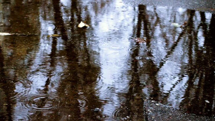 gotas de lluvia en el charco con los reflejos de los árboles