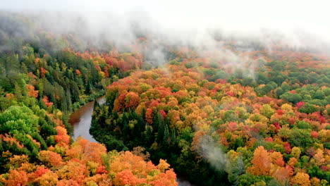 Drohnenaufnahme-Mit-Blick-Auf-Einen-Großen-Laubwald-In-Voller-Herbstfarbe