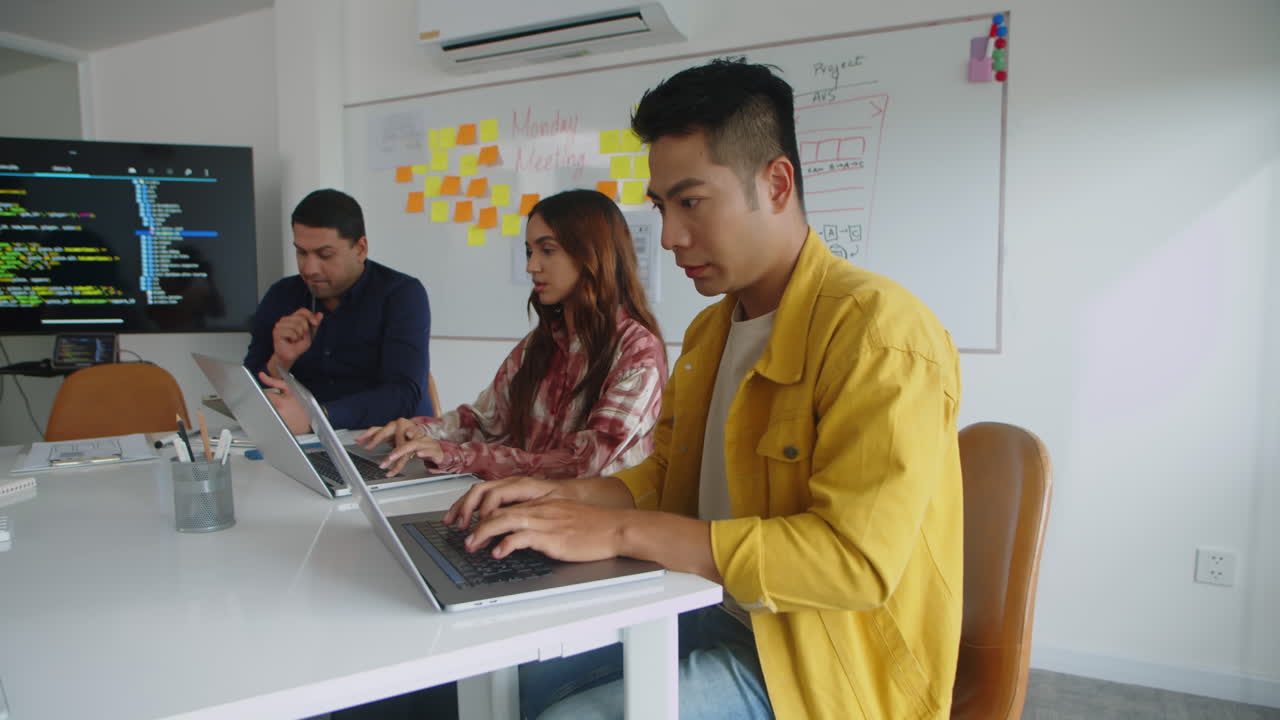 Diverse Programmers Working on Software Application