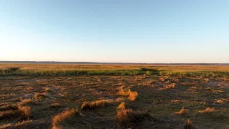 tranquil sunset over a coastal marsh
