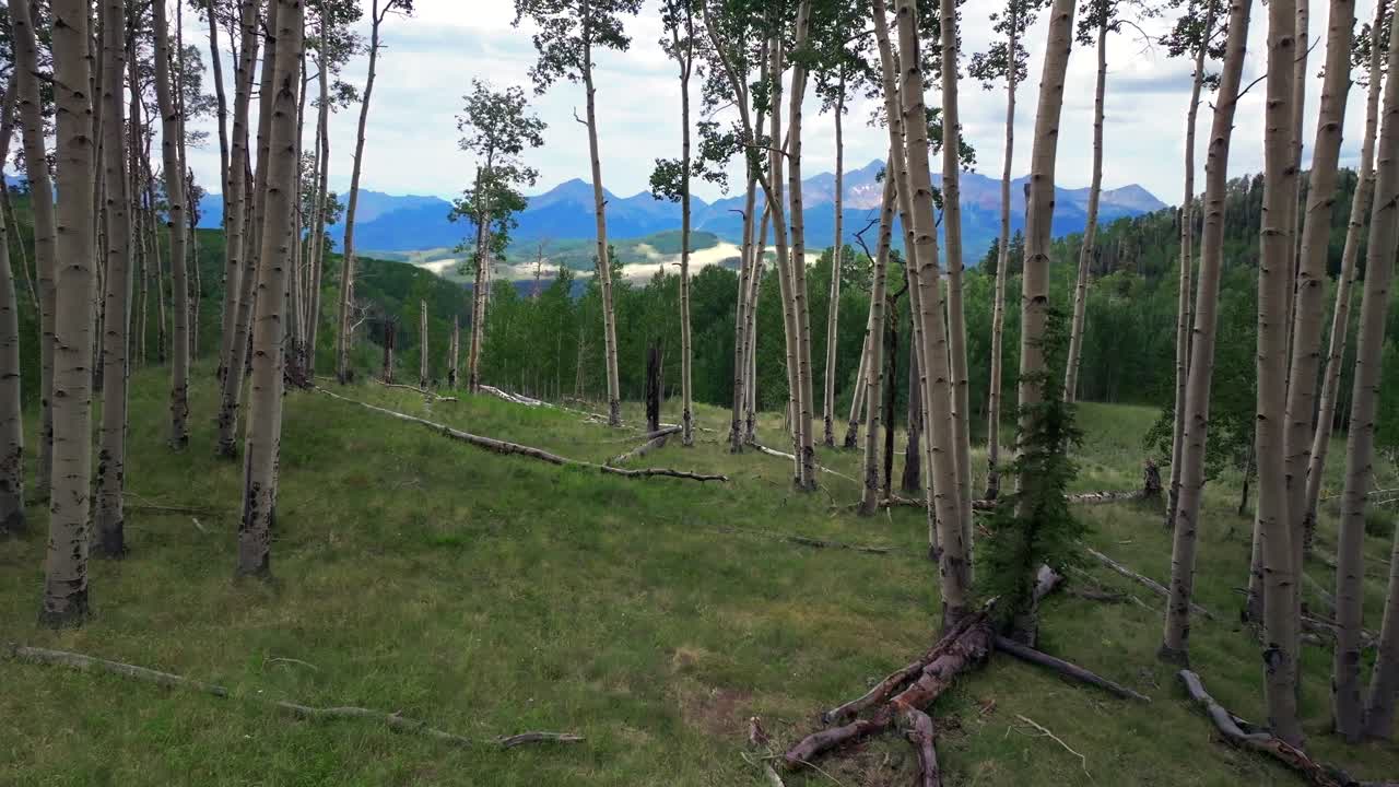 Summer Telluride airport Colorado Rocky Mountains aerial drone vista Ridgway Last Dollar Road Aspen Trees Groove Forest green Ouray Silverton San Juan Mount Sneffels gray cloudy forward slow motion