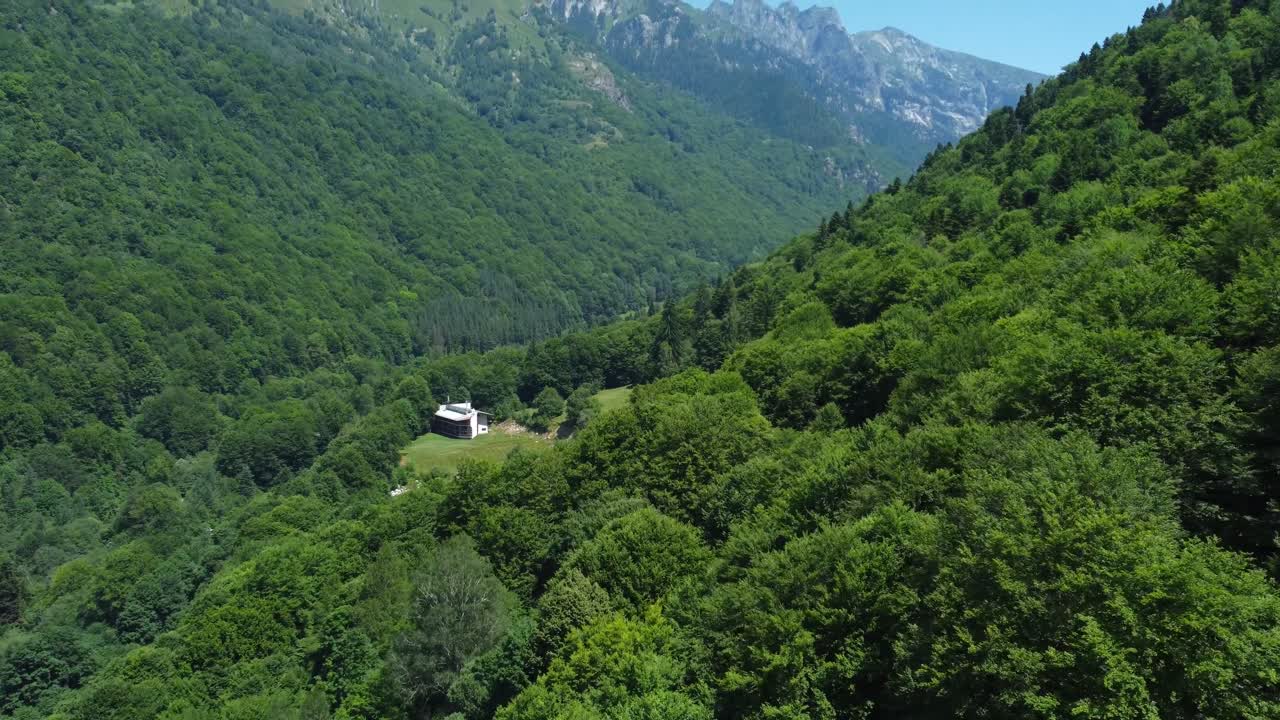 Serene scenery with trees, forest and mountains in Rila National Park, Bulgaria