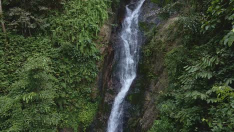 lush jungle waterfall with tropical vegetation surrounding